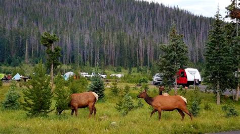 Timber Creek Campground — Rocky Mountain National Park | Grand Lake, CO