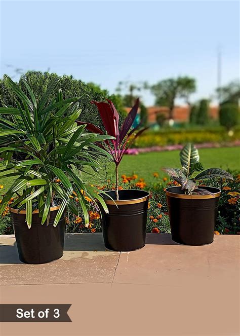 Get Black Round Metal Planter Black - Set Of 3 at ₹ 1499 | LBB Shop