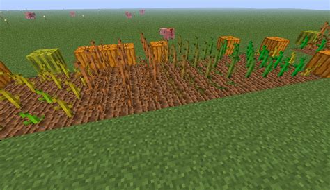 Image result for Secret Blocks Minecraft Java