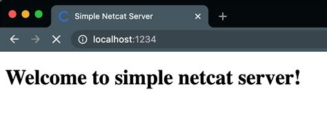 Netcat Command 的图像结果