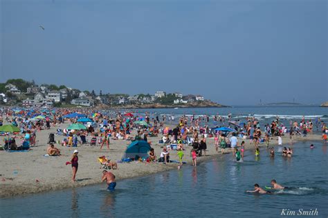 THE GOOD HARBOR BEACH PARKING LOT PLOVERS – The story of a remarkably ...