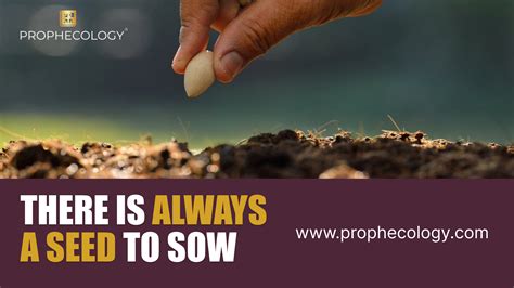 THERE IS ALWAYS A SEED TO SOW.