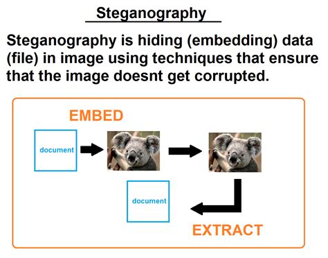 GitHub - shubamuzumaki/Steganography: Hide any type of file into an ...