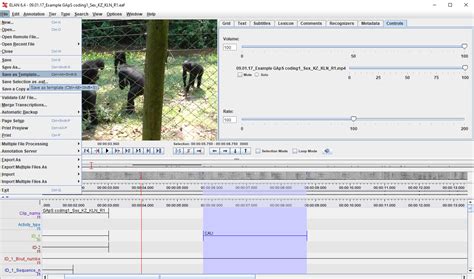 Coding Template 的图像结果