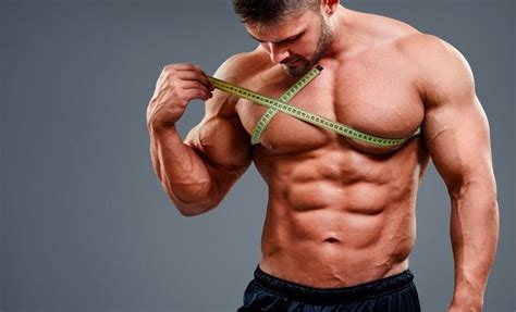 Image result for How We Build Muscle