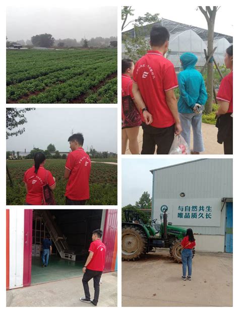 滁州日报多媒体数字报刊长三角绿色食品加工业（小岗）大会召开