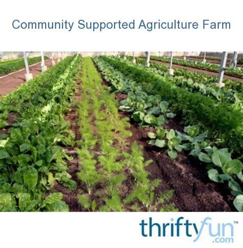 Community Supported Agriculture 的图像结果