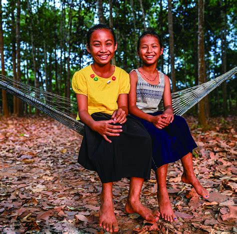 被彻底改变的林中生活：棕榈油和东南亚土著居民_种植园