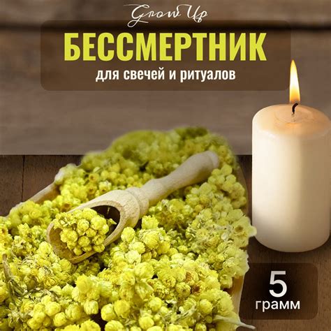 Бессмертник сушеные цветы 5 гр - сухоцветы для свечей, творчества и ...