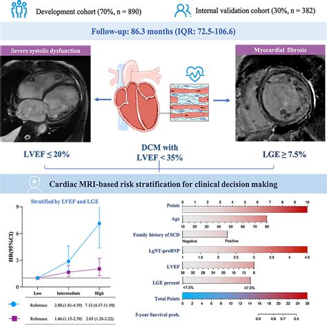 Prognosis and Risk Stratification in Dilated Cardiomyopathy With LVEF≤35%: Cardiac MRI Insights ...
