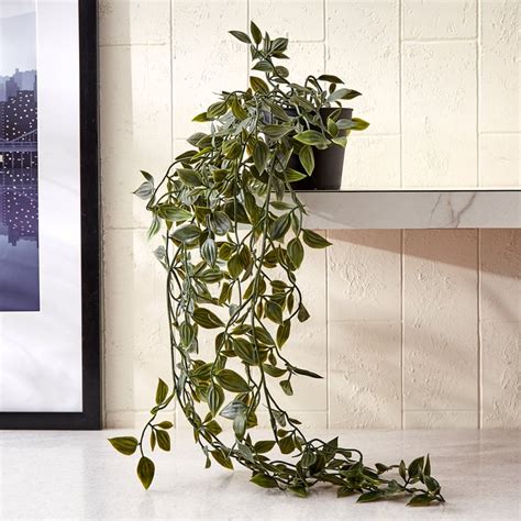 Buy Gloria Vine Artificial Hanging Plant in Pot from Home Centre at ...