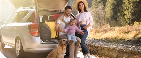 Za put sa ljubimcem u zemlje EU biće vam potreban poseban papir - B92