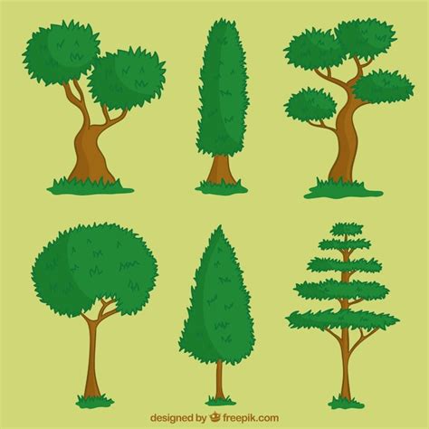 Pagina 2 | Immagini di Cipresso Disegno - Download gratuiti su Freepik