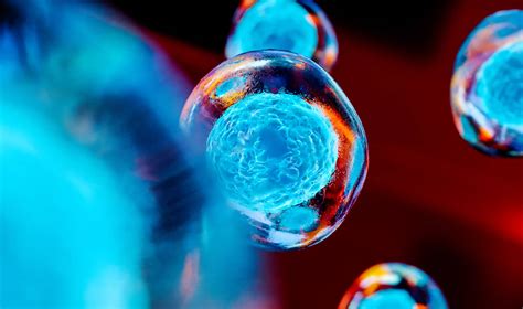 Image result for Programming Languages for Machine Learning