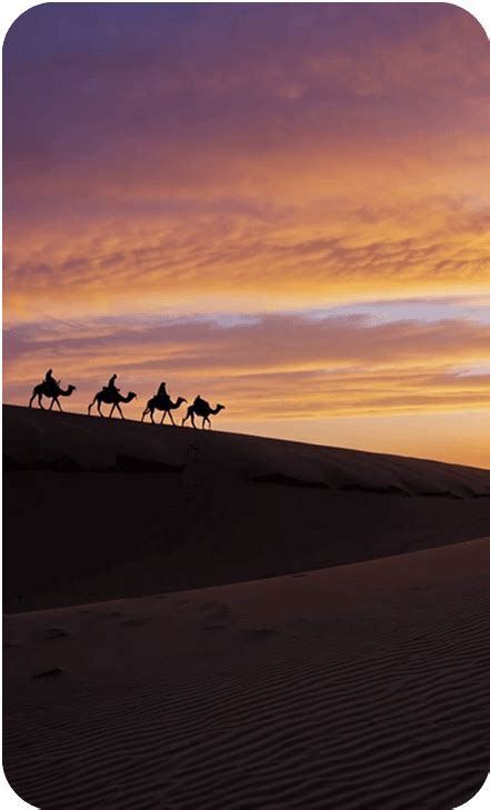 Bing Image 的图像结果