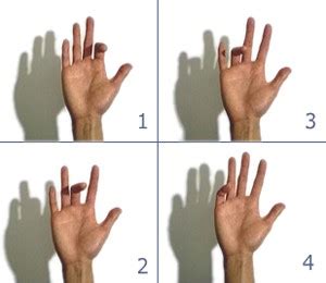 Image result for Typing Finger Exercises