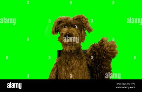 Image result for Puppet String Greenscreen