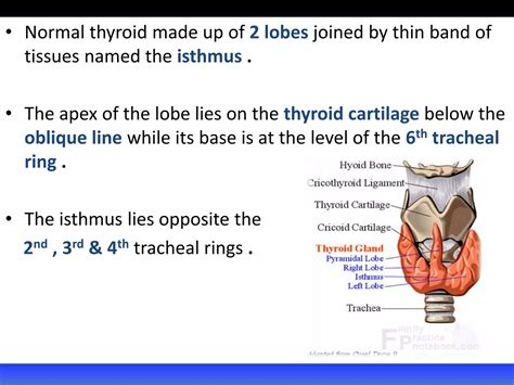 Surgical anatomy of thyroid gland | PPTX