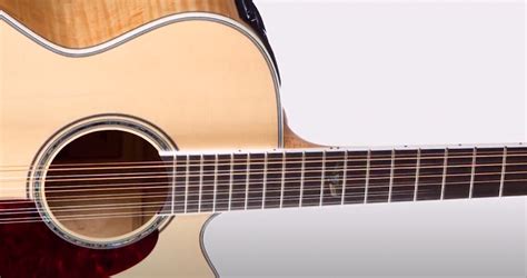 Image result for 12 String Instruments