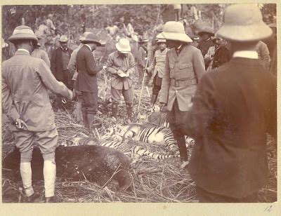 King George V's Hunting in Nepal in December 1911 Part I - Old Indian ...