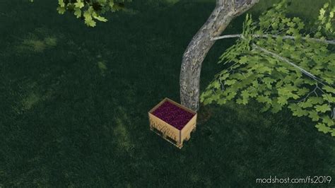 Image result for Farming Simulator 19 Tree Types