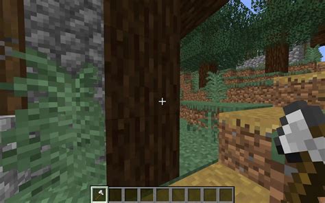 Spruce Wood in Minecraft