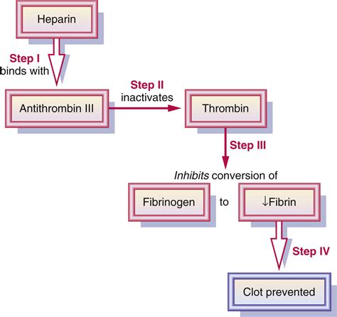 Anticoagulants, Antiplatelets, and Thrombolytics | Basicmedical Key