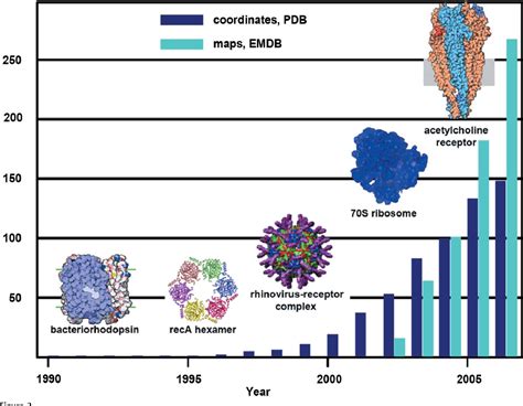 Image result for Protein Data Bank Protein Structure Visualization