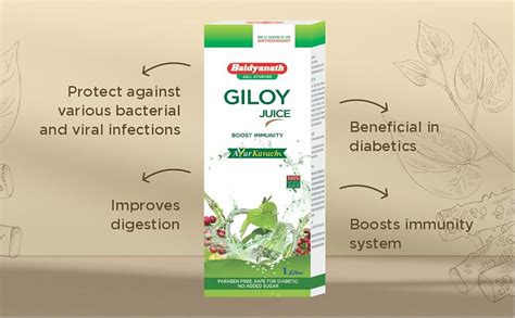 Buy Baidyanath Giloy Juice - Natural Immunity Booster - 1 L (Pack of 2 ...