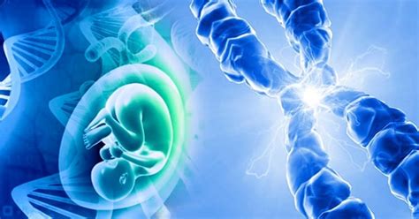 FISH Prenatal Testing