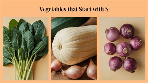 33 Vegetables that Start with L : A Complete List - TheClassyChapter