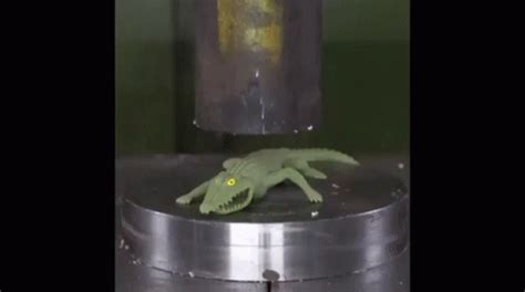 Image result for Exploding Alligator GIF