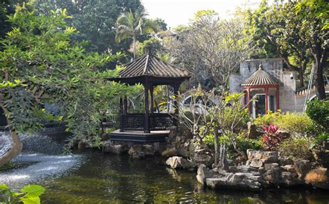 Photos Chine : paysage hivernal d'un jardin verdoyant dans le sud ...