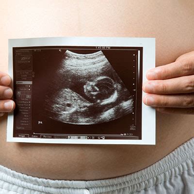 怀孕第8周胎儿发育情况 器官特征开始明显_在线收听免费mp3 _育儿_妈妈FM电台_三优亲子网