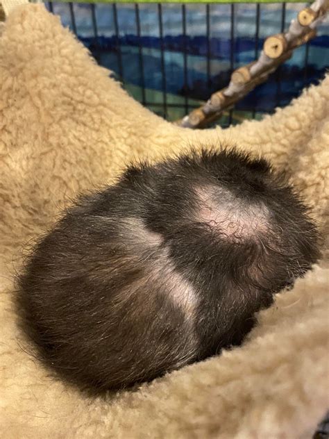 Image result for Fetch Someone