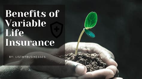 Variable Life Insurance Explained 的图像结果