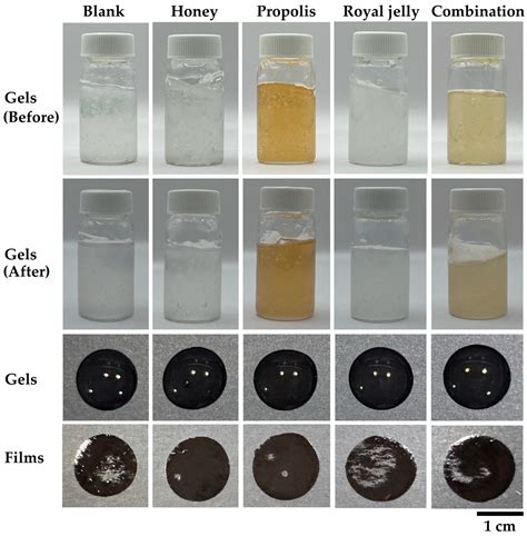 Bee Product-Based Antimicrobial Film-Forming Gels Targeting ...