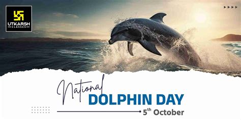 National Dolphin Day - Raising Awareness For Conservation