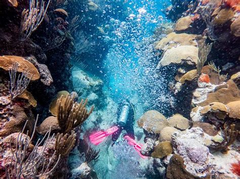 Southampton Parish Photos - Featured Images of Southampton Parish ...