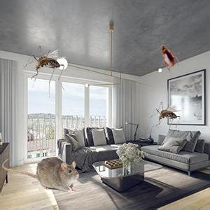 Pestman Ultrasonic Pest Repellent Machine to Repel Lizard, Rat ...