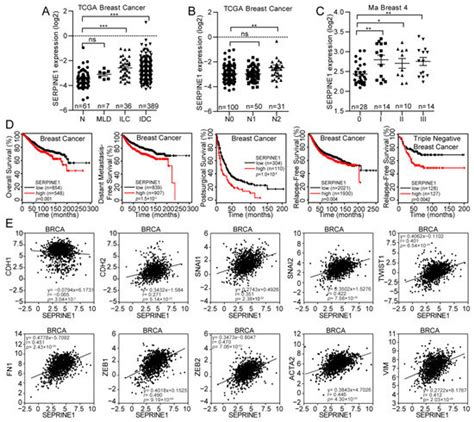 Cancers | December 2020 - Browse Articles