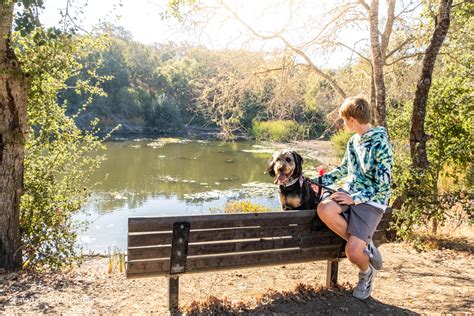 The Best Dog Friendly Hikes in San Mateo County | Marquez Five Adventures