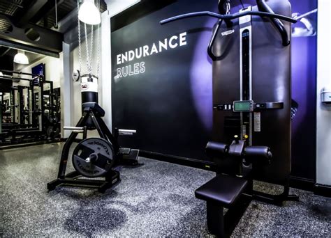 Gargosha Gym 的图像结果