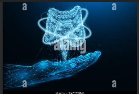 Intestine Transplant Recovery in India: Comprehensive Guide