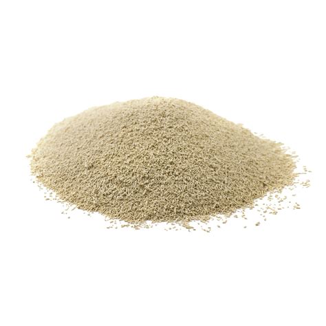 Fleischmann's Instant Dry Yeast - 1 lb Bag in Bulk – Bakers Authority