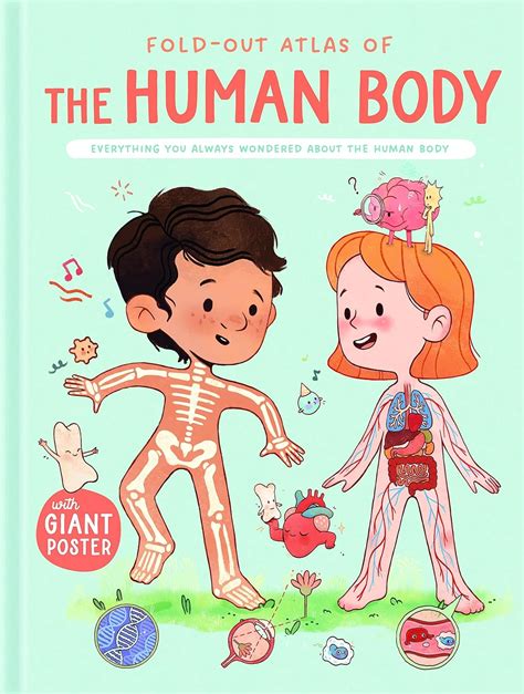 The Human Body (Fold-Out Atlas of) : Amazon.in: Books