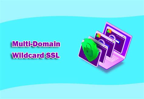 Image result for SSL Multi-Domain