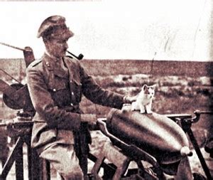 WWI's Cuddly Yet Brave 'Soldiers' - Cats | War History Online