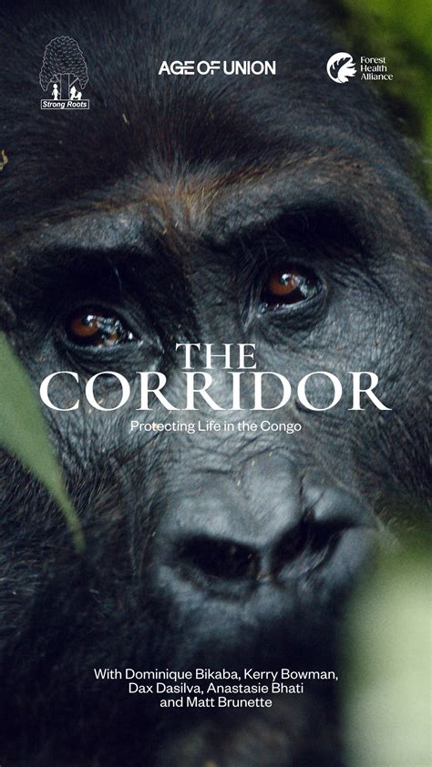 The Official Global Premiere of The Corridor | Age of Union