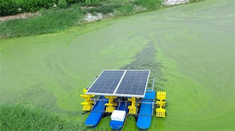 Noida residents’ group pools money to purchase machine to purify Sector ...